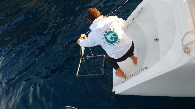 Miguel launching the cradle - photo © Mission Ocean