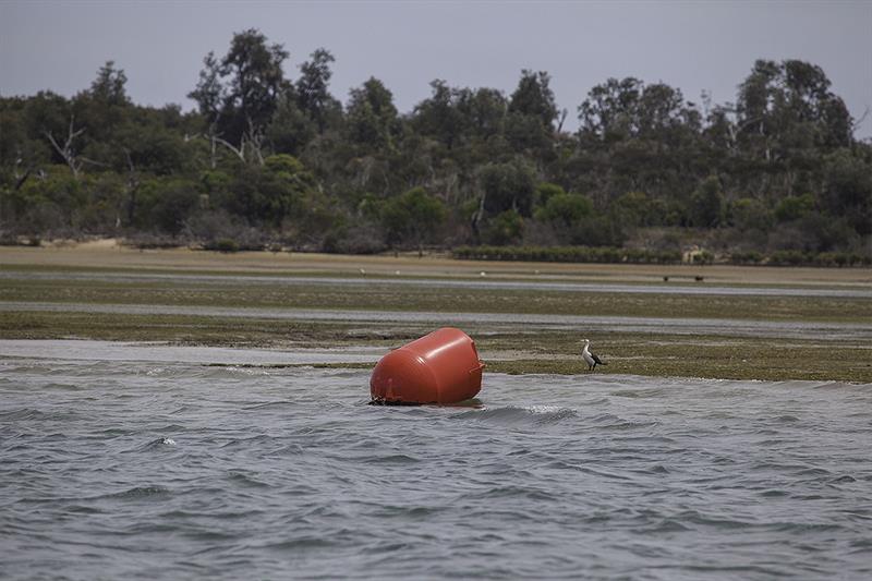 Was it the can or the bird standing on the weeds that gave away the depth? photo copyright John Curnow taken at  and featuring the Cruising Yacht class