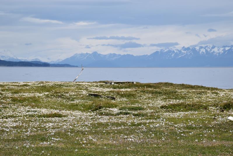 Beagle Channel photo copyright Susanne Fyr Hellman taken at Ocean Cruising Club and featuring the Cruising Yacht class