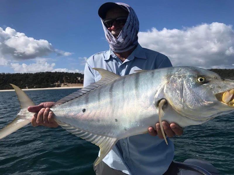 A chunky golden trevally caught with Hervey Bay Fly & Sportfishing photo copyright Fisho's Tackle World taken at  and featuring the Environment class