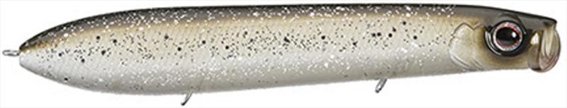 Silver Flitter Shad photo copyright Daiwa taken at  and featuring the Fishing boat class