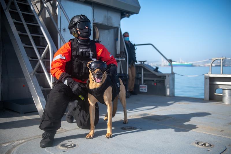 Coast Guard canine Kelly and her handler Petty Officer 2nd Class Jacob Brasker, members of Maritime Safety and Security Team Los Angeles/Long Beach, await a hoisting line from an Air Station San Francisco MH-65 Dolphin Helicopter during training photo copyright Petty Officer 3rd Class Taylor Bacon taken at 