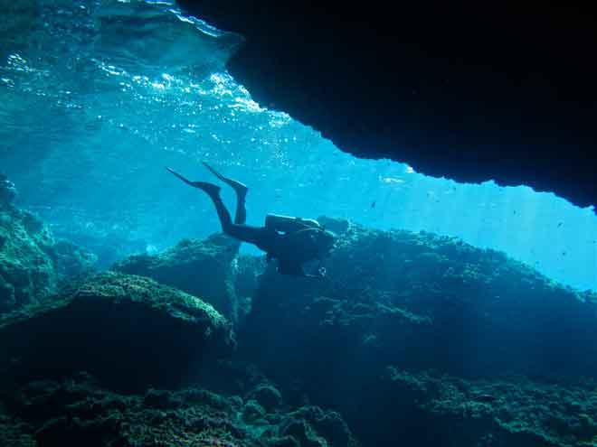 Diving off Ustica © Annika Fredriksson / Ocean Crusaders