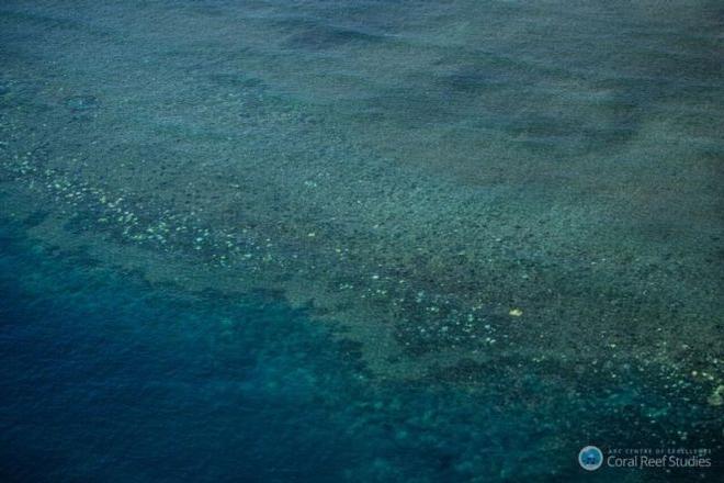 Extensive coral bleaching (white/yellow patches) documented on the Great Barrier Reef during aerial surveys in March 2016 © ARC Centre of Excellence for Coral Reef Studies