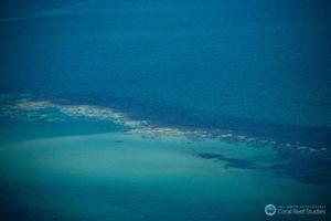 Extensive coral bleaching (white/yellow patches) documented on the Great Barrier Reef during aerial surveys in March 2016 photo copyright ARC Centre of Excellence for Coral Reef Studies taken at  and featuring the  class