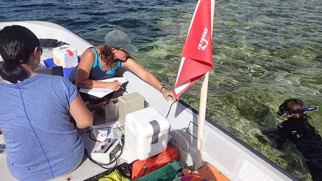 WHOI postdoctoral investigator Tong Zhang (left) and WHOI associate scientist Colleen Hansel (right) monitor real-time data while MIT/WHOI Joint Program student Laura Weber (in water) holds the sampling tube in place over the coral. The team took superoxide measurements and samples from six different shallow reef sites during their week-long field visit. © Amy Apprill, Woods Hole Oceanographic Institution