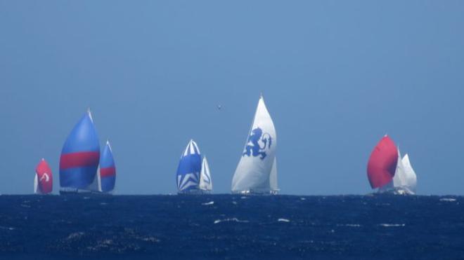 The racing fleet bears down on us © Bluewater Cruising Association