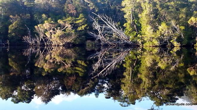 Gordon River reflections © Jack and Jude