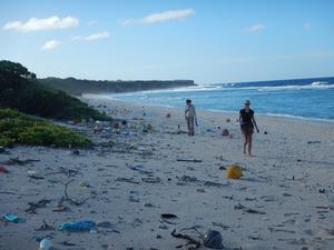 East Beach, Henderson Island. photo copyright Jennifer Lavers taken at  and featuring the  class