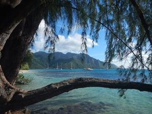 Beautiful Moorea photo copyright Freedom and Adventure taken at  and featuring the  class