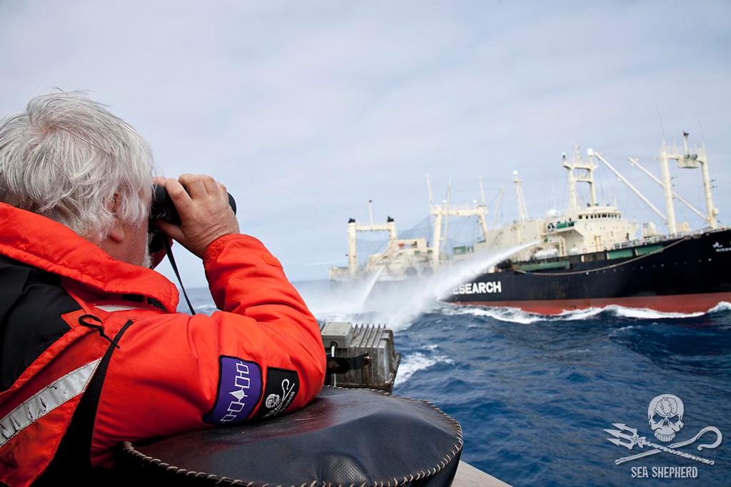 Captain Paul Watson look to Nisshin Maru with his binoculars © Sea Shepherd