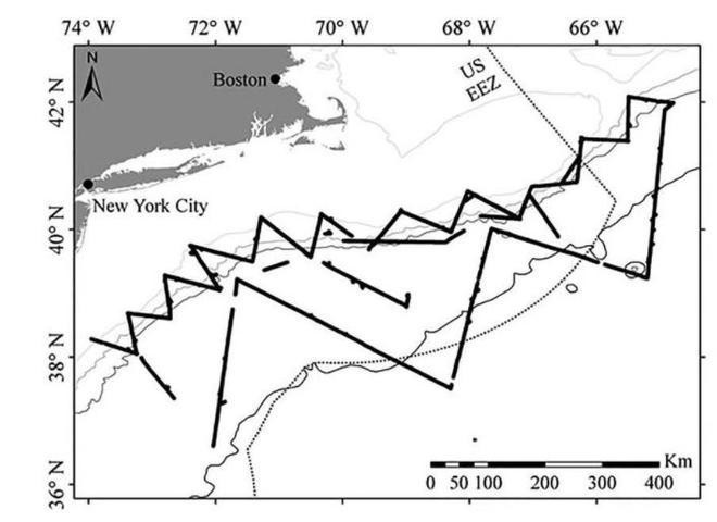 Map of the survey area, with the tracklines shown by the thick solid black line. The US Exclusive Economic Zone (EEZ) is denoted by the hashed line. The 100 meter, 1,000 meter, 2,000 meter and 4,000 meter contours (depths under water) appear as thin grey lines from light to dark, respectively ©  NOAA Fisheries / Annamaria Izzi DeAngelis /NEFSC