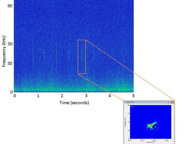 A spectrogram of a Cuvier's beaked whale (top left) with a zoomed in, high resolution spectrogram known as a Wigner plot (bottom right) of a single click highlighted in orange ©  NOAA Fisheries / Annamaria Izzi DeAngelis /NEFSC