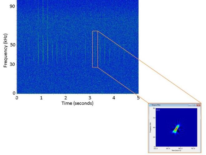 Spectrogram of either a Gervais' or True's beaked whale click train (top), with a zoomed in, high resolution spectrogram (Wigner plot) of a single click highlighted in orange (bottom right). Note the frequency-modulated upsweep that is characteristic of beaked whale foraging clicks and the difference in click rate and upsweep from the Cuvier's beaked whale spectrogram. ©  NOAA Fisheries / Annamaria Izzi DeAngelis /NEFSC