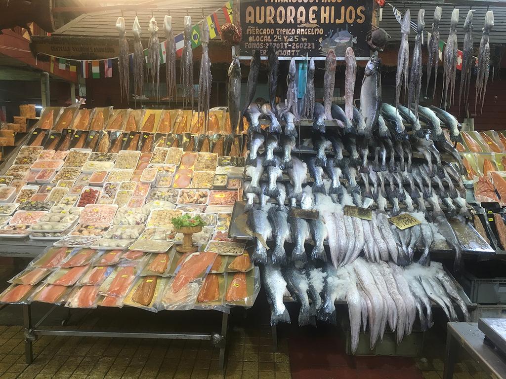 Angelmo Seafood Markets, Puerto Montt © Kristen Anderson