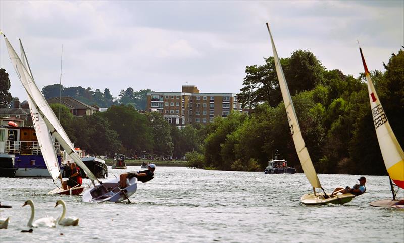 A good hiking breeze for the single handers at the Minima Regatta 2022 photo copyright Rehanna Neky taken at Minima Yacht Club and featuring the Solo class