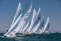 2024 Star Worlds comes to San Diego this September © Cynthia Sinclair