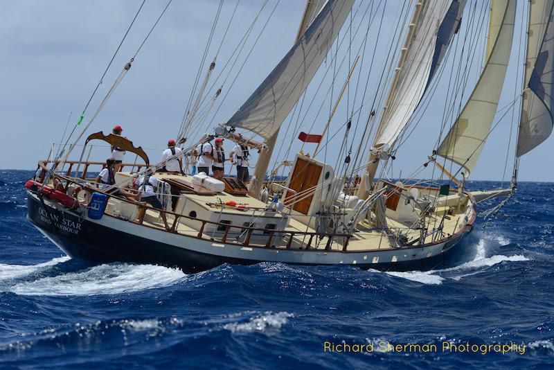 The sail-training schooner Ocean Star - 2018 Antigua Classic Yacht Regatta - Day 4 - photo © Richard Sherman