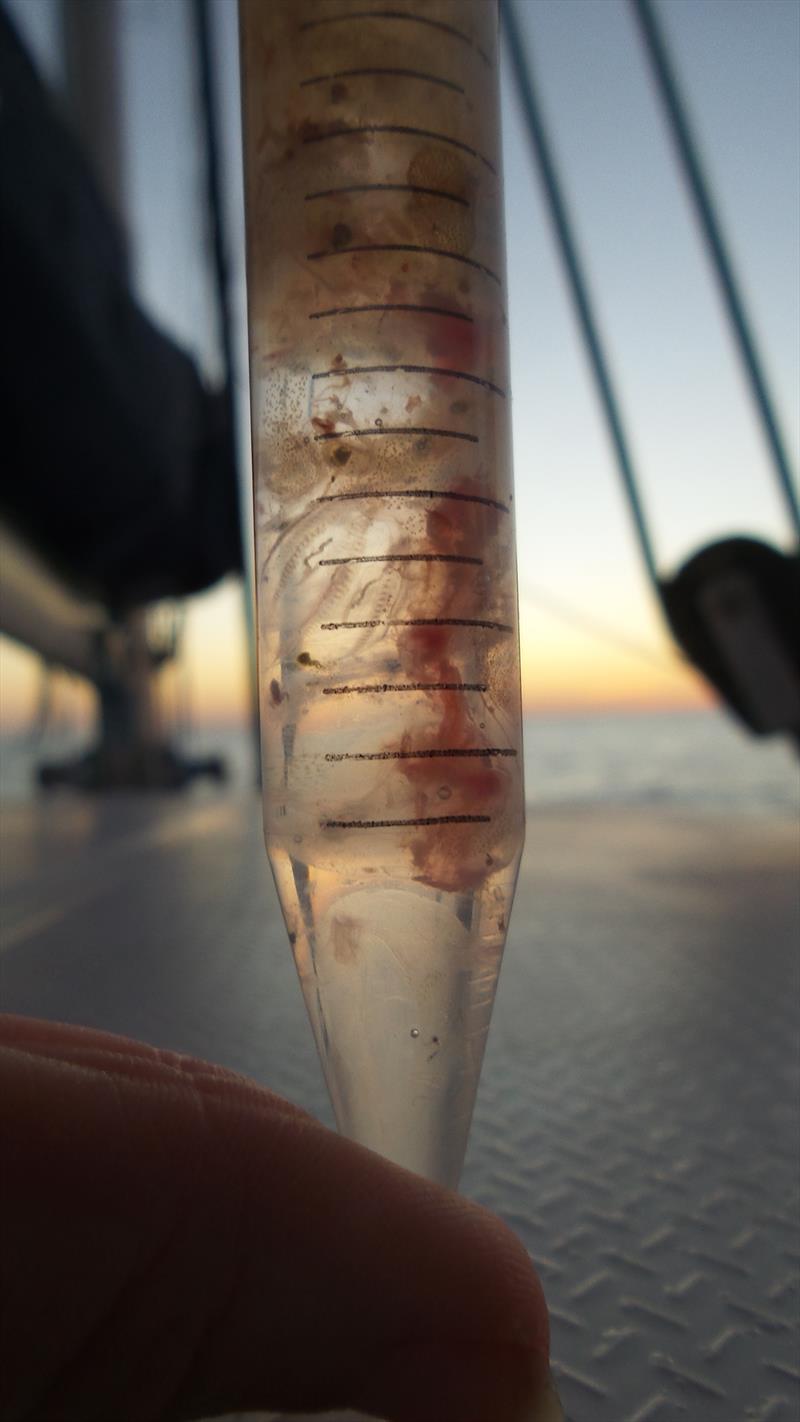 Testube full of samples reading to be sent to France photo copyright Mission Ocean taken at  and featuring the Cruising Yacht class