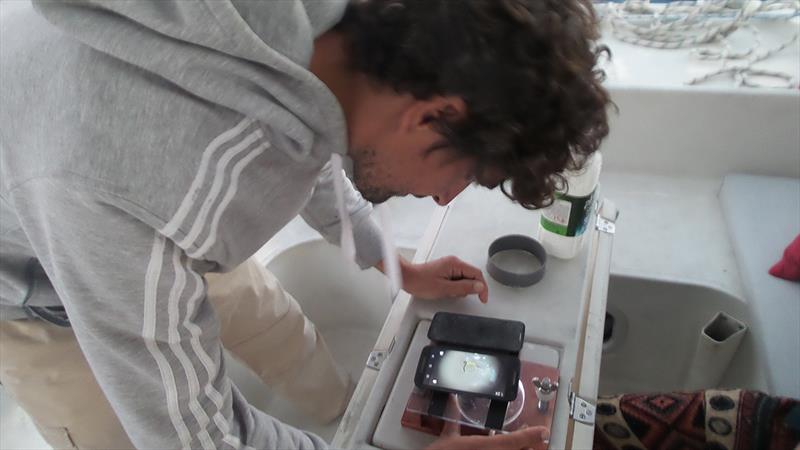Using the low tech microscope on deck  - photo © Mission Ocean