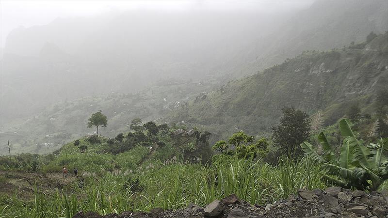 San Antoa's greenery - photo © Mission Océan
