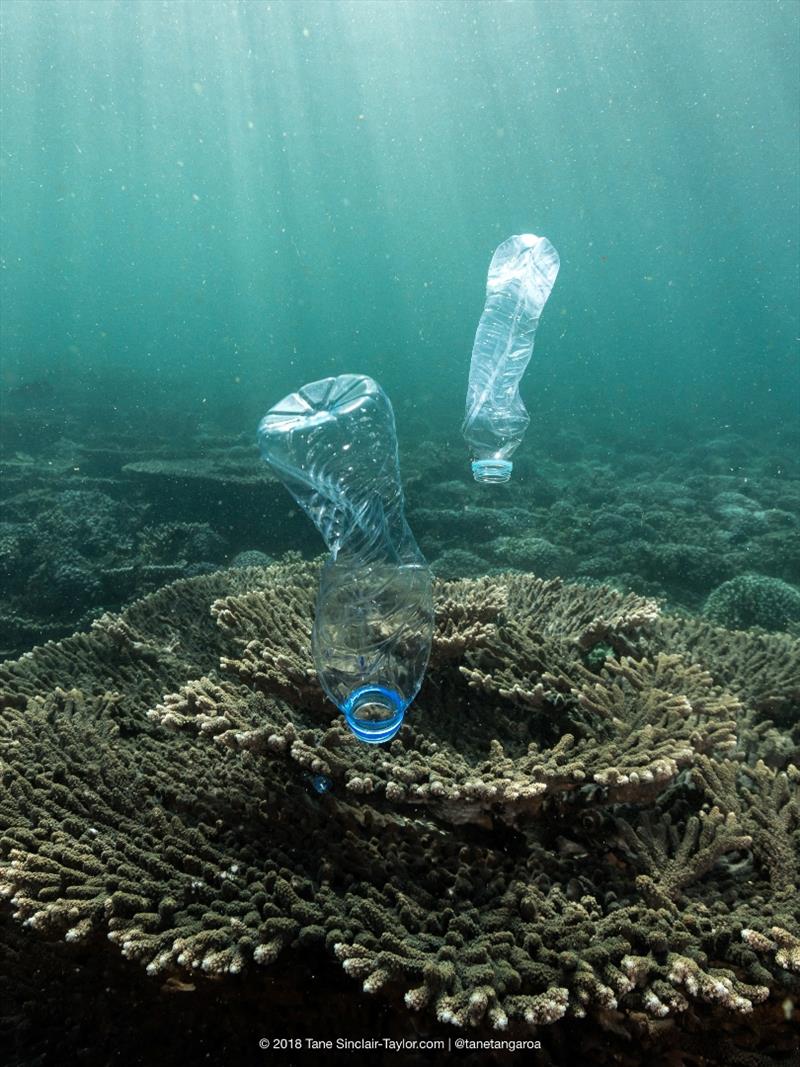 Plastic Pollution in Oman, Gulf or Arabia. - photo © Tane Sinclair-Taylor