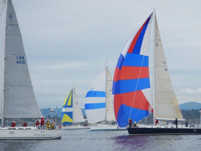 Racing fleet with spinnakers flying photo copyright Bill Norrie taken at  and featuring the Cruising Yacht class