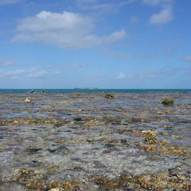 Coral reef flat (study site) at One Tree Island in Australia's Great Barrier Reef photo copyright Aaron Takeo Ninokawa of UC Davis taken at  and featuring the Cruising Yacht class