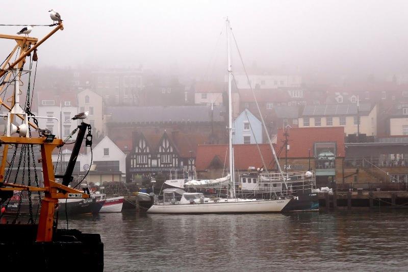 Taipan in Scarborough in a very dense fog photo copyright SV Taipan taken at  and featuring the Cruising Yacht class