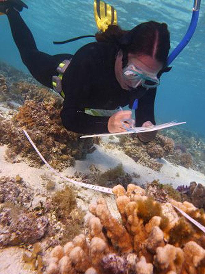 CoralCoE PhD candidate, Kristen Brown, investigating coral-algal interactions at Heron Island, southern Great Barrier Reef photo copyright The University of Queensland taken at  and featuring the Cruising Yacht class