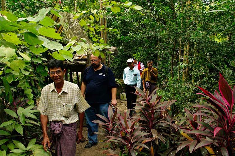WHOI geologist Liviu Giosan (in navy blue shirt) and the rest of the team make their way through inhabited and forested old beach ridges of the Ayeyawady River delta with the help of a local guide. - photo © Florin Filip, The Institute for Fluvial and Marine Systems, Bucharest, Romania