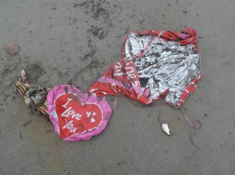 Crab tangled in the ribbons of mylar Valentines Day balloons - photo © Russ Lewis, NOAA Marine Debris Program