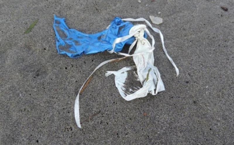 Remnants of rubber balloons with ribbons attached - photo © Russ Lewis, NOAA Marine Debris Program