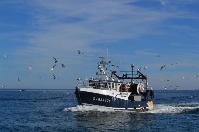 Seagulls on the Fishing Boats - photo © Maree & Phil