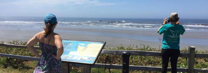 An interpretive sign installed by The Whale Trail near Kalaoch, Washington photo copyright The Whale Trail taken at  and featuring the Cruising Yacht class