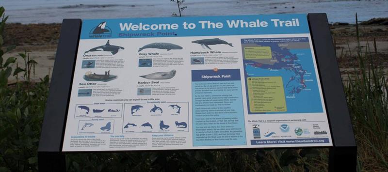 This Whale Trail interpretive sign is installed at at Shipwreck Point, Washington. Each Whale Tail sign describes marine life to look for at that location. - photo © The Whale Trail