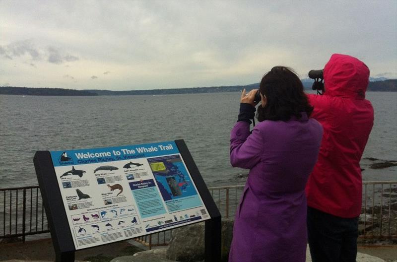Another Whale Trail interpretive sign discussing Southern Resident killer whales and other local marine life at the Charles Richey, Sr. Viewpoint, just south of Alki Point in Washington photo copyright The Whale Trail taken at  and featuring the Cruising Yacht class
