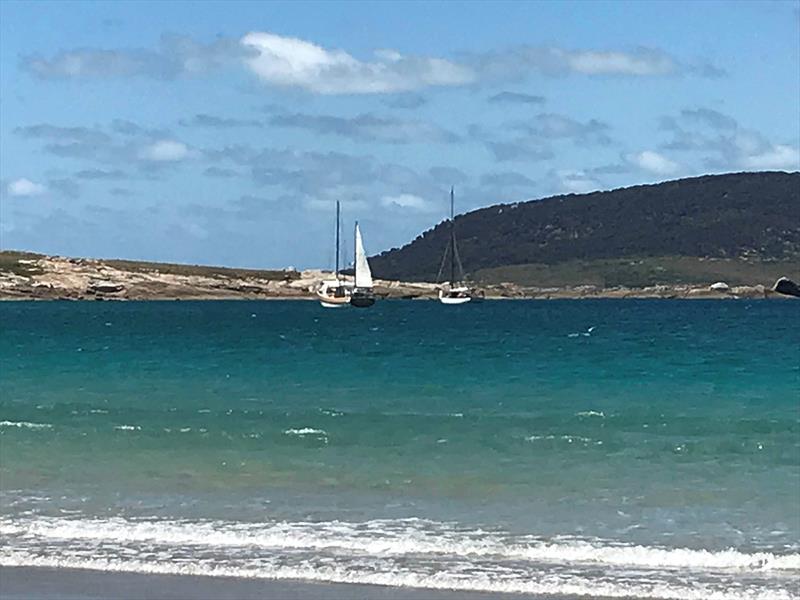 Cruising Flinders Island photo copyright The Wooden Boat Shop taken at  and featuring the Cruising Yacht class