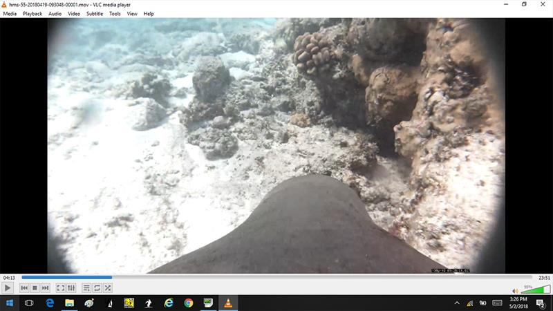 A seal's-eye view of the sea floor is thanks to specialized cameras used to study seals' underwater foraging behaviors photo copyright NOAA Fisheries taken at  and featuring the Cruising Yacht class