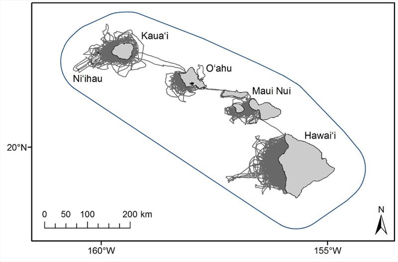 Map of main Hawaiian Islands, showing extent of small-boat survey effort by Cascadia Research Collective (gray lines, largely on leeward sides of the islands) relative to larger range of main Hawaiian Island false killer whale population (blue line) - photo © NOAA Fisheries / Adam Ü