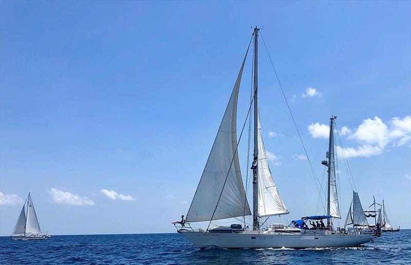 World ARC 2018-19 photo copyright World Cruising taken at  and featuring the Cruising Yacht class