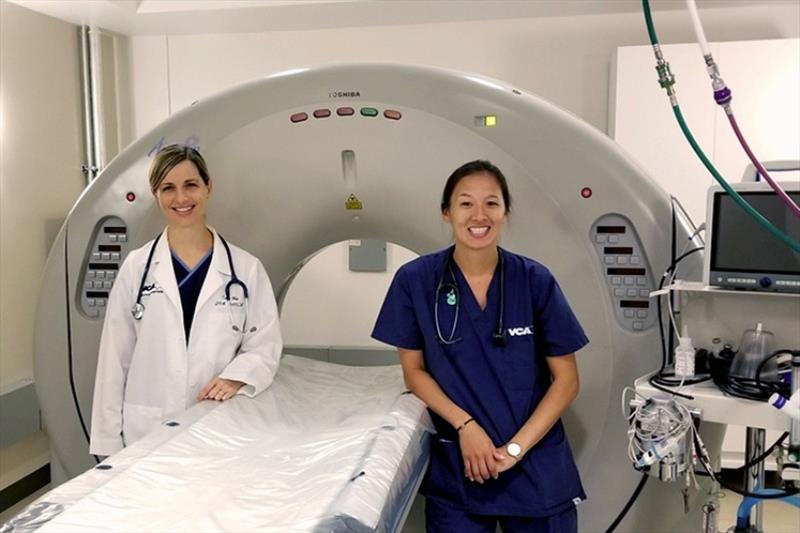 VCA Family Animal Hospital staff with CT scanner. The CT exam gave NOAA great confidence the animal had cleared its lung infection. - photo © NOAA Fisheries