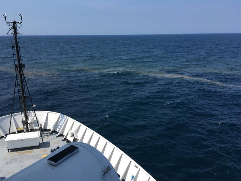 Trichodesmium bloom visible off the bow of the NOAA Ship Gordon Gunter during the August 2018 EcoMon cruise photo copyright NOAA Fisheries taken at  and featuring the Cruising Yacht class