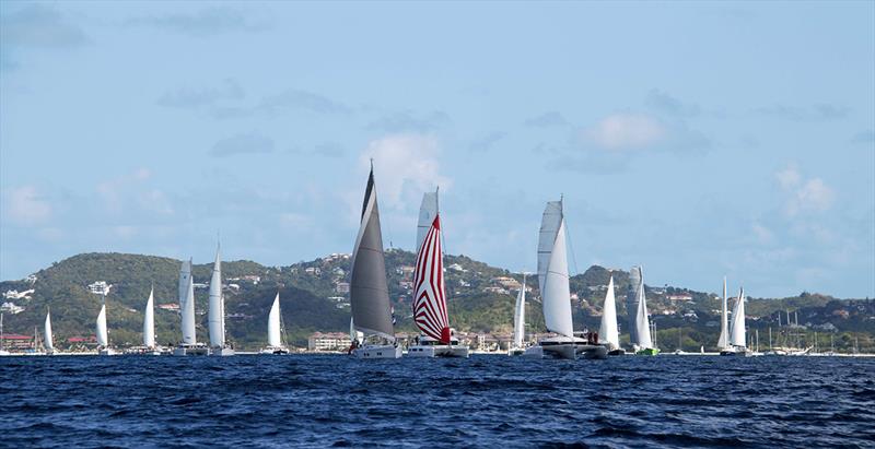 World ARC 2019-20 fleet photo copyright World Cruising taken at  and featuring the Cruising Yacht class