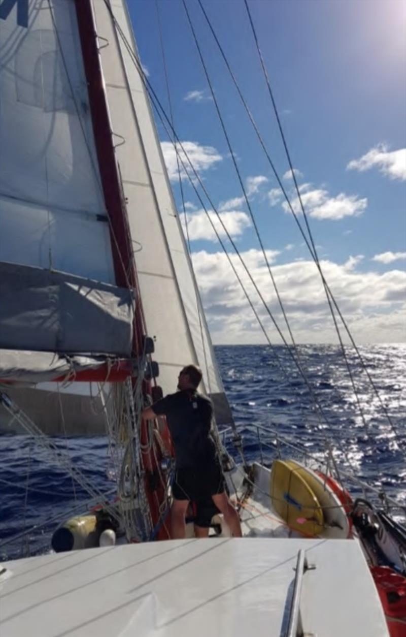 Working at the mast. Head below the height of the goose-neck, clipped on with harness, AIS MOB and footwear photo copyright Island Cruising NZ taken at  and featuring the Cruising Yacht class