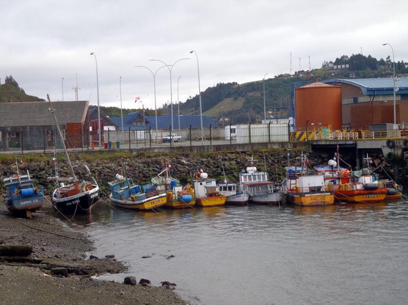 Fishboats Castro harbour photo copyright Laurence Roberts and Mary Anne Unrau taken at  and featuring the Cruising Yacht class