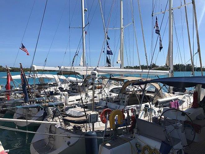 ARC Europe & ARC USA arrivals in Bermuda photo copyright World Cruising taken at  and featuring the Cruising Yacht class