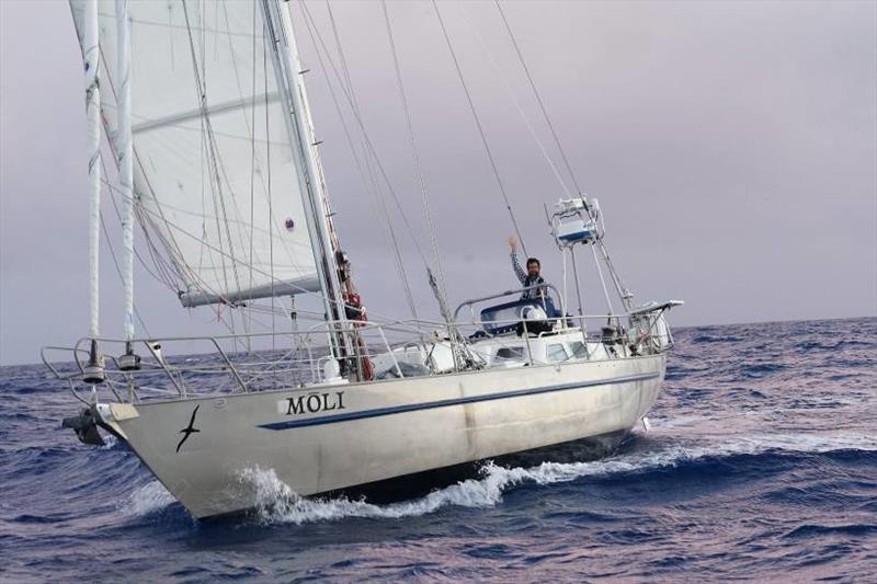 Randall Reeves and s/v Moli are expected to return to San Francisco after their historic circumnavigation of the Antarctic and American continents photo copyright Ocean Cruising Club taken at  and featuring the Cruising Yacht class