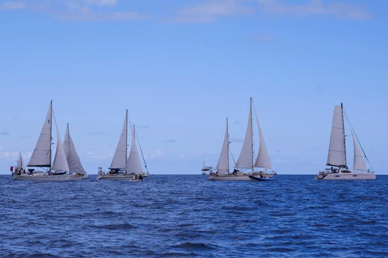 ARC Fleet begin Leg 1 to Mindelo - photo © WCC / Jésus de Leon
