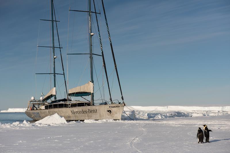 Pangaea in Antarctic waters photo copyright Dmitry Sharomov taken at New York Yacht Club and featuring the Cruising Yacht class